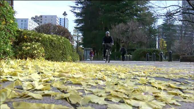 暖かいのに「大雪」二十四節気と季節感がずれるワケ　考案された場所との関係が…　tbc気象台|TBS NEWS DIG