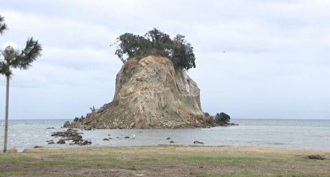 「震災遺構」を教育に 修学旅行誘致へ震災学習プログラムを検討|TBS NEWS DIG
