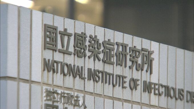 「原因不明の急性肝炎」子ども1人死亡　国内で死者報告は初|TBS NEWS DIG