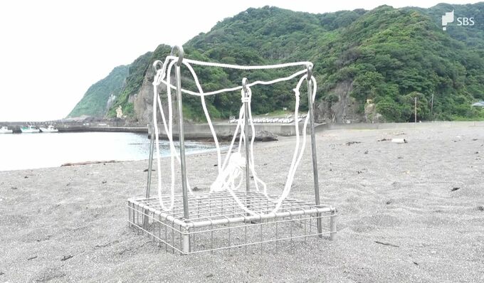 「皆さんと温かく見守りたい」　南伊豆町でウミガメの産卵を確認　9月にはふ化＝静岡　|　静岡のニュース | SBSNEWS | 静岡放送