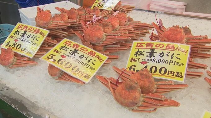 「過去5年にないくらい非常に値段が安かった」冬の味覚の王様「松葉がに」漁解禁…水揚げ好調　去年より３割ほど安く|TBS NEWS DIG
