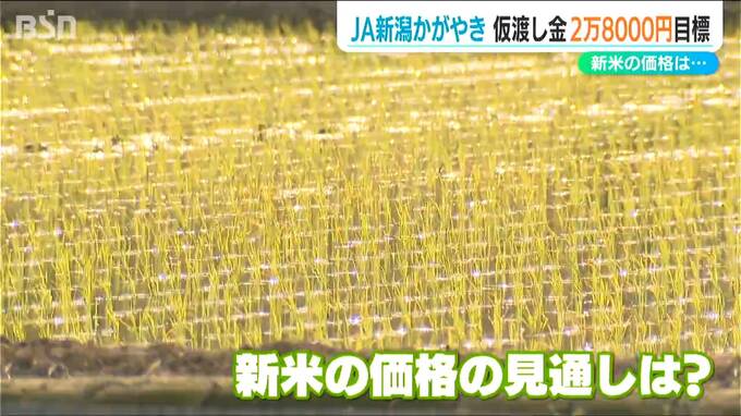 「経営持続のための水準」60kg当たりの『仮渡し金』目標2万8000円以上と稲作農家に説明　コメ出荷最大手のJA新潟かがやき|TBS NEWS DIG