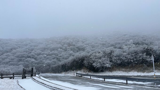 強い冬型の気圧配置で真冬並み冷え込み　大分市で初雪　|　大分のニュース｜OBS NEWS｜大分放送