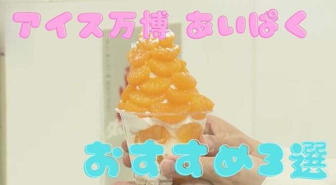 暑い日に食べたい！アイスクリーム万博 あいぱく　おすすめ商品３選|TBS NEWS DIG