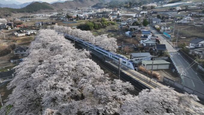 盆地のサクラはそろそろ見納め　ドローンで撮影したサクラの名スポット　山梨　|　山梨のニュース | ＵＴＹテレビ山梨