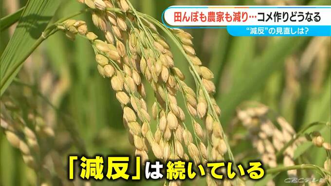 コメ作りどうなる 田んぼも担い手も減り続ける現実 “減反”の見直しは？ 【チャント！大石が聞く】　|　名古屋・愛知・岐阜・三重のニュース【CBC news】 | CBC web