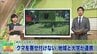 クマとの境界をつくれ～盛岡市で住民・学生が協力し“草刈り”　かつて年13頭出没の地区で効果　|　IBC NEWS | IBC岩手放送