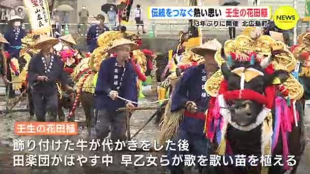 伝統をつなぐ熱い思い 壬生の花田植 3年ぶりに開催 広島・北広島町