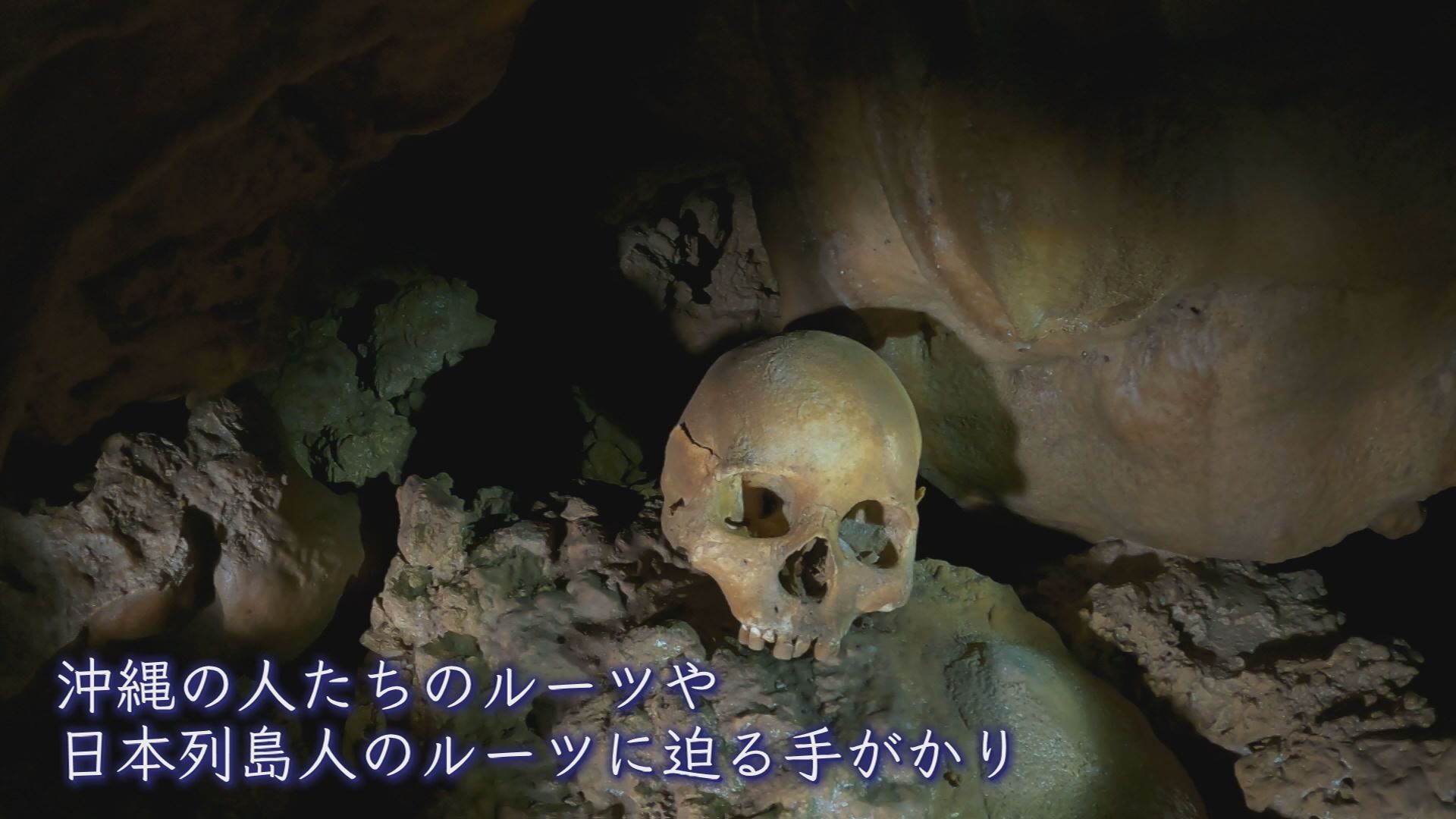 沖縄の洞窟で見つかる古代人の頭蓋骨・手足の骨･･･ なぜ朽ちずに残るのか