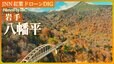 【岩手空中散歩】八幡平の紅葉【JNN 紅葉ドローンDIG】|TBS NEWS DIG