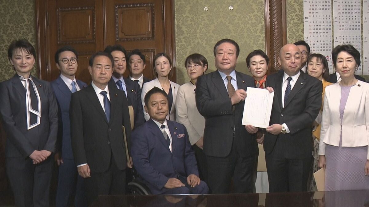 障害児支援の所得制限撤廃を」立憲が法案提出 | TBS NEWS DIG
