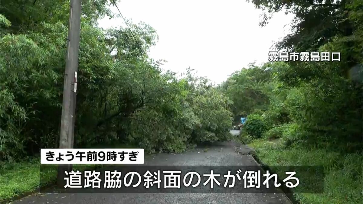倒木 W杯見ていたらドンと音が」倒木で折れた電柱が車を直撃 鹿児島（南日本