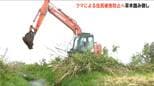 「移動ルートや隠れ家になる河川敷で草木の踏み倒し」新潟県 上越市でクマの早期発見対策|TBS NEWS DIG