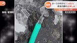 「氷の子どもが生まれた♡」各地で“ホース氷”!さらにまさかの場所からビッグな氷が!?|TBS NEWS DIG