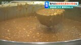 1食300円、数カ月前に決まる献立に物価高騰は反映されず “会社持ち出し負担”もある給食の現状|TBS NEWS DIG