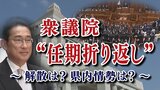 10月末に任期折り返しを迎える衆議院 次の衆院選の県内情勢 山梨|TBS NEWS DIG