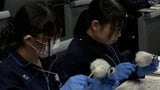 子ども防犯教室や鑑識の手順を体験　高校生や大学生らを対象に県警1ＤＡＹ仕事体験　|　IBC NEWS | IBC岩手放送
