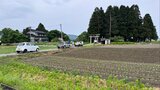 【続報】鶴岡市の住宅地にクマ 神社に潜伏か…周囲を市や警察が見張る(山形) | 山形のニュース│TUYテレビユー山形