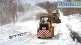 名物“雪の回廊”に暖冬の影響は？　八幡平アスピーテラインの除雪スタート　岩手　|　IBC NEWS | IBC岩手放送