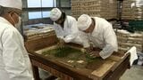 お茶の手揉み技術の継承と技能の向上へ 新春恒例の競技会＝静岡・沼津市|TBS NEWS DIG