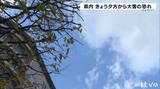 平地でも積雪の可能性 22日夕方から大雪のおそれ 愛媛 | 愛媛のニュース - Nスタえひめ|あいテレビは6チャンネル