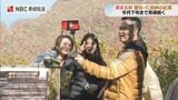 雲仙・仁田峠の紅葉見ごろに　朝晩の冷え込みで一気に色づき進む【長崎】|TBS NEWS DIG