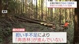 担い手不足で再造林が進まない宮崎県内の林業　「すき間バイト」で課題解決を　宮崎市で説明会　|　MRTニュース ｜ ＭＲＴ宮崎放送