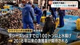 【8年ぶり】魚津ウマヅラハギが大漁！不漁一転、100トン超えでブランド『如月王』に期待　富山・魚津市|TBS NEWS DIG