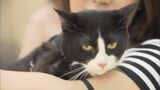 「自分の命より大事な存在」ペットを連れてどう避難する?「ペット同行避難訓練」行われる 「想定していなかった」爬虫類も…愛知・豊橋市 | 名古屋・愛知・岐阜・三重のニュース【CBC news】 | CBC web