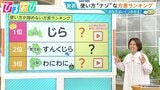 使い方“ナゾ”な方言ランキング「ちゅんちゅん」は火傷に注意！？「わにわに」「すんくじら」ってどんな意味【ひるおび】|TBS NEWS DIG