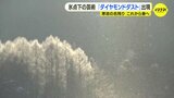 北海道でなくても出合えるキラキラの絶景 “日本最南端” 豪雪地帯で出合った氷点下の芸術「ダイヤモンドダスト」出現 広島・中国山地はマイナス18℃ 強烈に冷え込んだ朝|TBS NEWS DIG