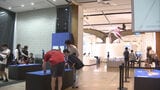「とぶ 空飛ぶ生きものたちの大冒険」開催 全長10mの翼竜や世界の鳥など300種類 北九州市・いのちのたび博物館 | 福岡のニュース|RKB NEWS|RKB毎日放送