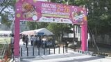 「ガパオライス」「パッタイ」本格的なタイ料理や民族舞踊･格闘技･音楽などを体感「アメージング･タイランドフェス」開催|TBS NEWS DIG
