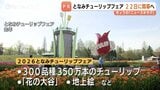 となみチューリップフェア2026　テーマは「想いをつなぐとなみ花物語」300品種350万本が来場者を迎える予定　富山・砺波市|TBS NEWS DIG
