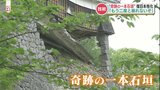 「もう2度と崩れないぞ」奇跡の一本石垣に本丸御殿 熊本城復旧作業の現状は? | 熊本のニュース|RKK NEWS|RKK熊本放送