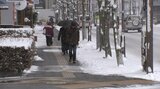 内陸を中心に雪、本格的な積雪 岩手|TBS NEWS DIG