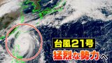【台風情報 30日午後1時半】台風21号 今夜にも “猛烈な勢力” に発達【雨風の最新シミュレーション】2日に温帯低気圧に変わるも進路を東に変え大雨のおそれ|TBS NEWS DIG