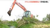 「移動ルートや隠れ家になる河川敷で草木の踏み倒し」新潟県 上越市でクマの早期発見対策　|　新潟のニュース・天気｜BSN NEWS｜BSN新潟放送