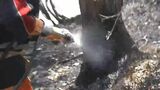 岡山市南区の山林火災現場 鎮圧から一夜明け 鎮火目指して火種などを探す地道な作業始まる【岡山】|TBS NEWS DIG