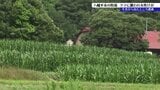 八幡平の牧場で女性がクマに襲われけが　意識あり命に別条なし　岩手　|　IBC NEWS | IBC岩手放送