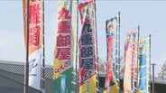 「政治家も相撲を見習ってほしい」外国人受け入れは“相撲型”がヒント 「2600年の男系男子」は神話と混同？土俵の女人禁制から考える皇室典範　相撲1500年史に学ぶ伝統と変化　|　大分のニュース｜OBS NEWS｜大分放送