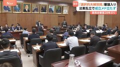 「選択的夫婦別姓」28年ぶり国会審議入り　立憲・国民・維新の“法案乱立”で今国会成立のめど立たず| TBS CROSS DIG with Bloomberg