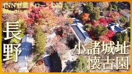 長野 小諸城址懐古園の紅葉【JNN紅葉ドローンDIG】|TBS NEWS DIG