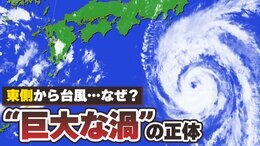 台風7号関東接近へ 東の海から接近“珍しい台風”相次ぐ 背景にある巨大な渦「モンスーンジャイア」の正体|TBS NEWS DIG