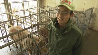 精液採取、出産から出荷まで　“極上”の豚肉生産に青春をかける高校生「我が子同然」の6か月【菊農ブタ日記・前編】　|　熊本のニュース｜RKK NEWS｜RKK熊本放送