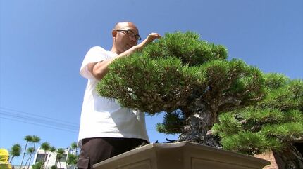 盆栽を「約2メートルの塀越しに盗られた」盆栽の産地・高松市鬼無町で