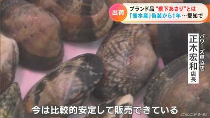 地域ブランド「渥美垂下あさり」の出荷が始まる 日本一の漁獲量誇る