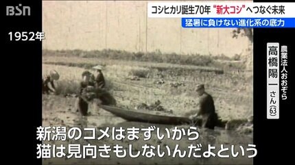 コシヒカリ誕生から70年 ”次世代”へつなぐ未来 岐路に立つ『新潟の米