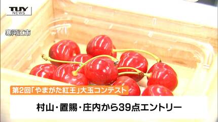 さくらんぼの大玉新品種「やまがた紅王」の重さを競うコンテスト開催 さくらんぼの大玉新品種「やまがた紅王」の重さを競うコンテスト開催