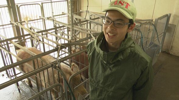 精液採取、出産から出荷まで　“極上”の豚肉生産に青春をかける高校生「我が子同然」の6か月【菊農ブタ日記・前編】　|　熊本のニュース｜RKK NEWS｜RKK熊本放送